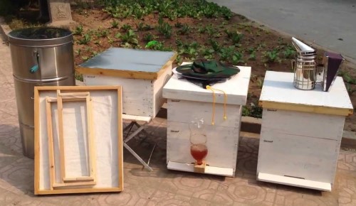thùng nuôi ong sáp